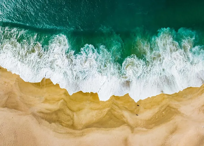 Surfness בית הארחה בליאל