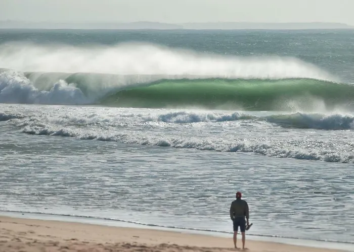 Surfness Балеал